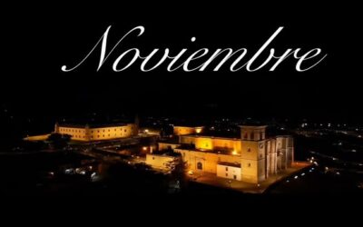 Resumen del año 2024 Noviembre